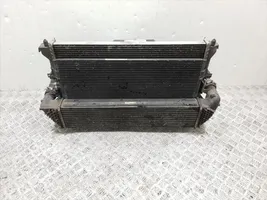 Renault Laguna II Radiateur de refroidissement 8200675335