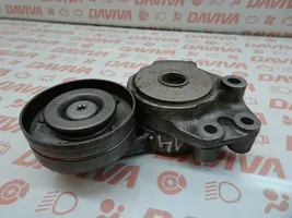 Volkswagen Golf V Napinacz paska wielorowkowego / Alternatora 03C145299J