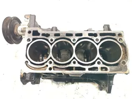 Skoda Octavia Mk2 (1Z) Motorblock CAX