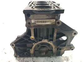 Skoda Octavia Mk2 (1Z) Motorblock CAX