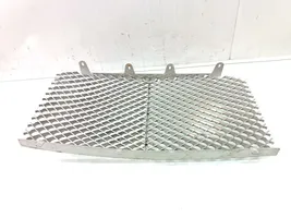 Bentley Arnage Grille de calandre avant 