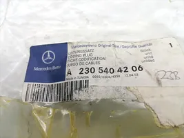 Mercedes-Benz SL AMG R230 Autres faisceaux de câbles A2305404206