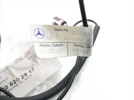 Mercedes-Benz S W220 Autres faisceaux de câbles A2208202917