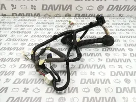 Renault Kadjar Rear wire harness sleeve 241269619R