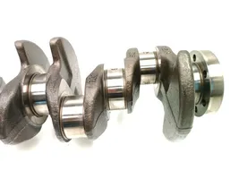 Volkswagen Caddy Crankshaft 03LDE