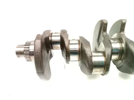 Volkswagen Caddy Crankshaft 03LDE