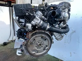 Ford Mondeo MK V Sostituzione del motore YMCC