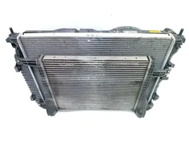 Chevrolet Captiva Radiateur de refroidissement F00S3D2021