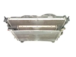 Chevrolet Captiva Radiateur de refroidissement F00S3D2021