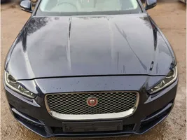 Jaguar XE Keulasarja 