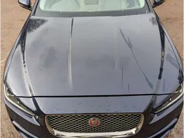 Jaguar XE Kit frontale 