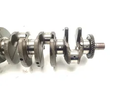 Opel Antara Crankshaft Z20DMH