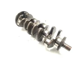 Opel Antara Crankshaft Z20DMH