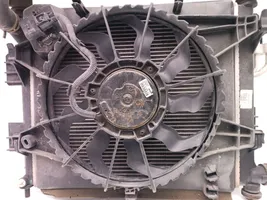 Hyundai i10 Dzesēšanas šķidruma radiators 25304-B9110