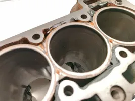 Ford Fiesta Engine block SFJA