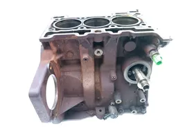 Ford Fiesta Motorblock SFJC