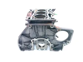 Ford Fiesta Motorblock SFJC