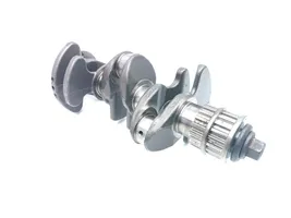 Ford Ecosport Crankshaft CM5G-6303-FB