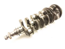 Opel Antara Crankshaft A22DM