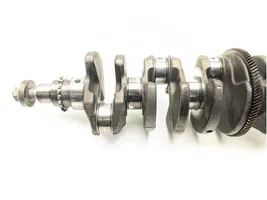 Opel Antara Crankshaft A22DM