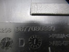 Citroen C4 II Picasso Listwa / Uszczelka szyby drzwi tylnych 9677080880