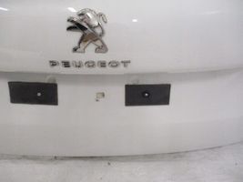 Peugeot 307 Peruutuskamera 