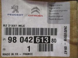 Citroen Jumper Pignon de chaîne de distribution 9804261380