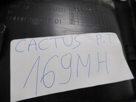 Citroen C4 Cactus Garniture panneau de porte arrière 