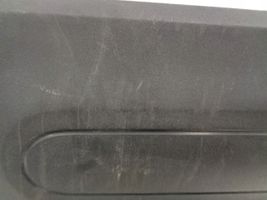 Citroen C4 Cactus Front door trim (molding) 9801023580