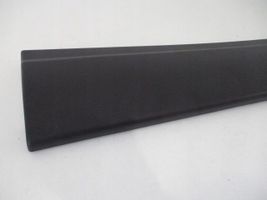 Fiat Ducato Rear door trim (molding) 