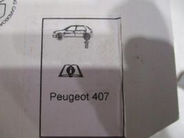 Peugeot 407 Klocki hamulcowe tylne 425491