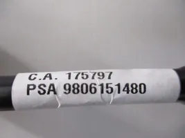 Peugeot Traveller Przewód / Wąż wspomagania hamulca 9806151480