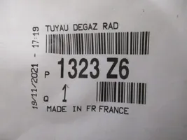 Peugeot 206+ Tuyau de liquide de refroidissement moteur 1323Z6
