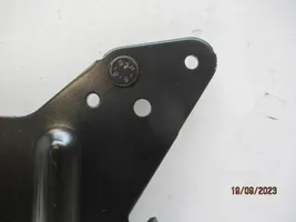 Peugeot 208 Maskownica czujnika ACC Distronic radar 9811673380