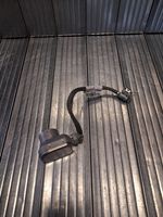 Citroen C5 Wiązka przewodów lamp przednich 89027765