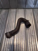 GAMINTOJAS - KITA MODELIS - KITA Engine coolant pipe/hose A2135014982