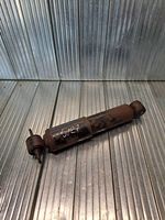 Pontiac Fiero Rear shock absorber/damper 