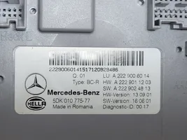 Mercedes-Benz GLE (W166 - C292) Altre centraline/moduli A2229006014