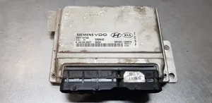 Hyundai Trajet Centralina/modulo del motore 3912023870