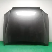 Hyundai Sonata Engine bonnet/hood 