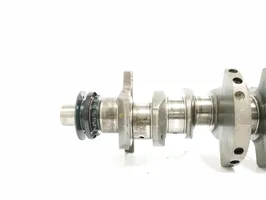 Citroen Saxo Crankshaft 0501J4