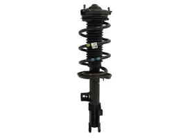 KIA Sportage Front shock absorber/damper 54660F1550