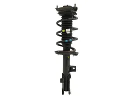 KIA Sportage Front shock absorber/damper 54660F1550