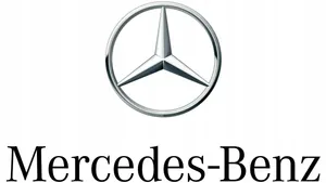 Mercedes-Benz GL X164 Front door trim (molding) a1646905262