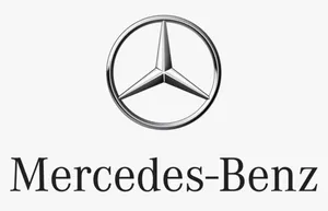 Mercedes-Benz E W212 Priešrūkinio žibinto apdaila/ grotelės A2128850823