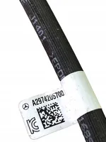 Mercedes-Benz EQS V297 Tubo flessibile circuito dei freni A2974205700