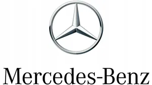 Mercedes-Benz 190 W201 Apdaila priekinių durų (moldingas) 2016905640