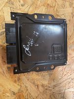 Nissan Leaf I (ZE0) Centralina/modulo motore ECU 5600631301