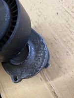 Skoda Fabia Mk1 (6Y) Napinacz paska alternatora 038903315