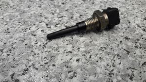 BMW 5 E34 Ieplūdes gaisa temperatūras sensors 0280130060